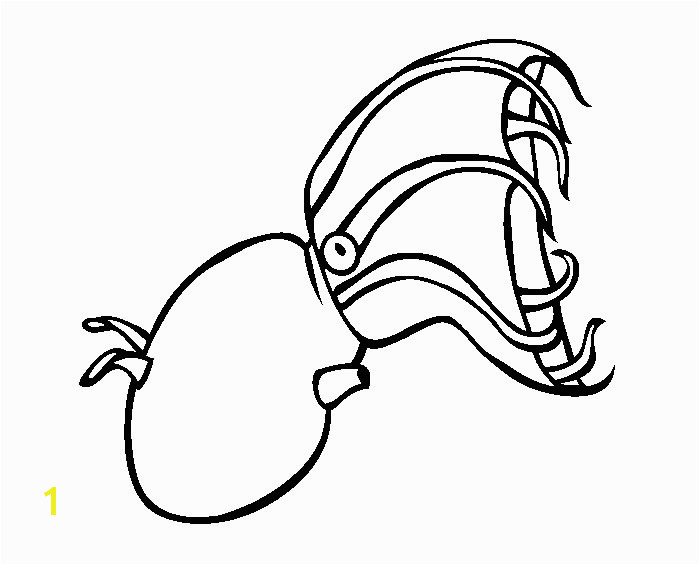 Vampire Squid Coloring Page