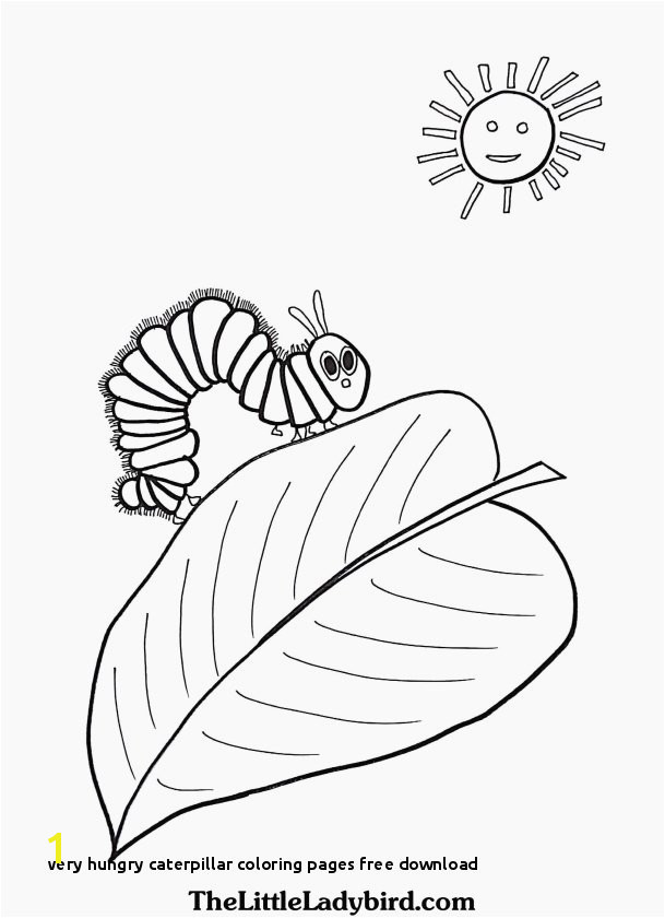 Beautiful Very Hungry Caterpillar Coloring Pages Free Download