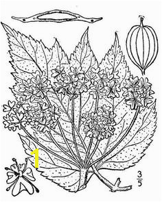 Nature coloring pages and resources to teach kids about nature Trees lakes volcano iceberg and volcano coloring sheets included