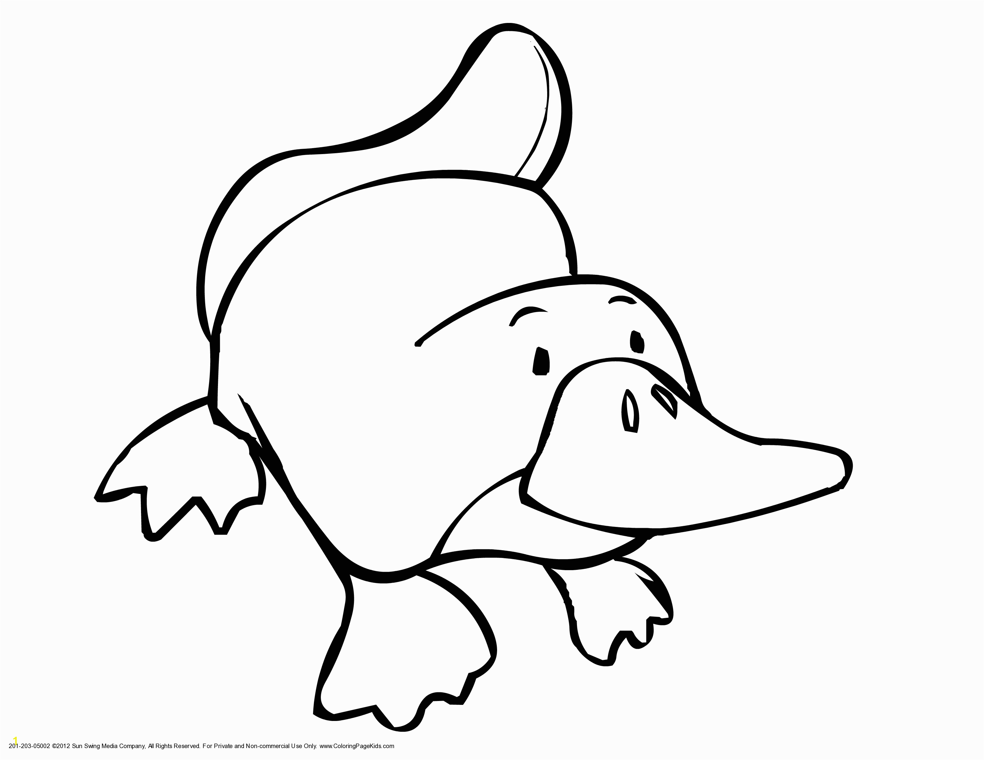 Platypus coloring pages