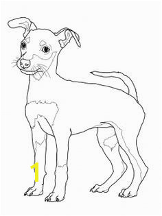 Weimaraner Coloring Pages Elegant 217 Best Dogs to Color Pinterest 16 Beautiful Weimaraner