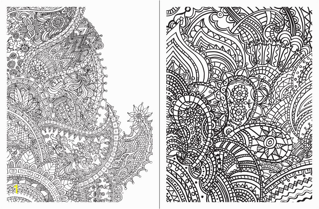 Posh Adult Coloring Book Paisley Designs for Fun & Relaxation Teresa Roberts Logan