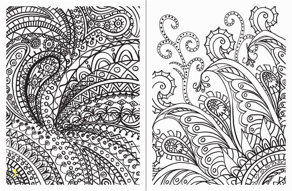 Posh Adult Coloring Book Paisley Designs for Fun & Relaxation Teresa Roberts Logan