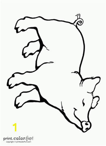Wilbur the Pig Coloring Page Charlotte S Web Coloring Pages