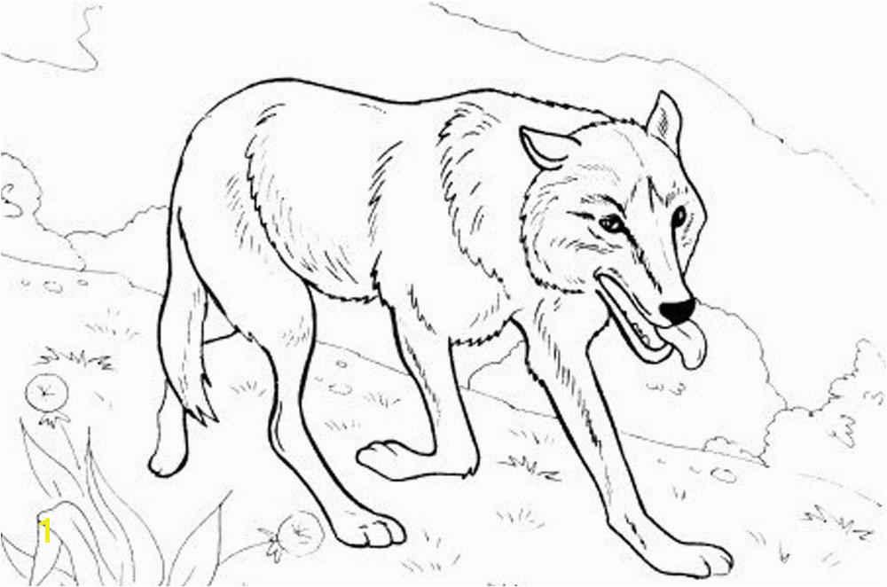 Wolf Coloring Pages Printable Print & Download Wolf Coloring Pages theme