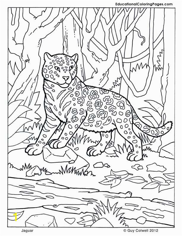 Mammals Book Four Coloring Pages