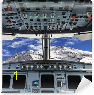 plane cockpit and snow mountain Vinyl Wall Mural