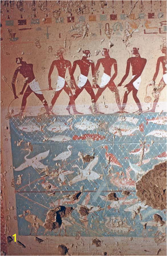 Tomb of Antefoqer TT60 reign of Amenemhat I and Senuseret I fishing