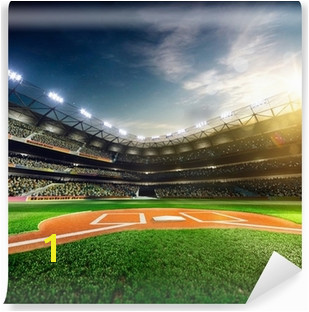 Baseball Wall Murals Taste The Sport Emotions Pixers