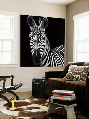 Zebra II Prints by Debra Van Swearingen at AllPosters Wall Decals Wall Mural