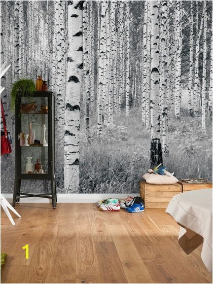 Birch Forest Wall Mural by Brewster at Gilt