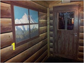 Log cabin themed wall mural in ice rink party rooms