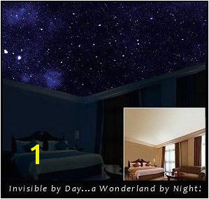 Ceiling Murals Night Sky Starscapes In Daytime Your Bedroom Ceiling Looks normal but when