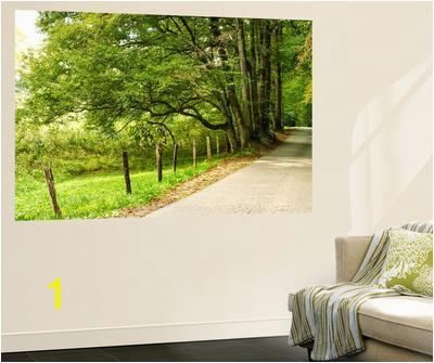 Beautiful Country wall murals artwork for sale Posters and Prints