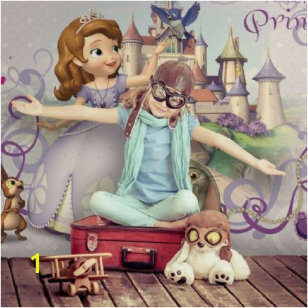 Disney Princess Sofia purple wall murals