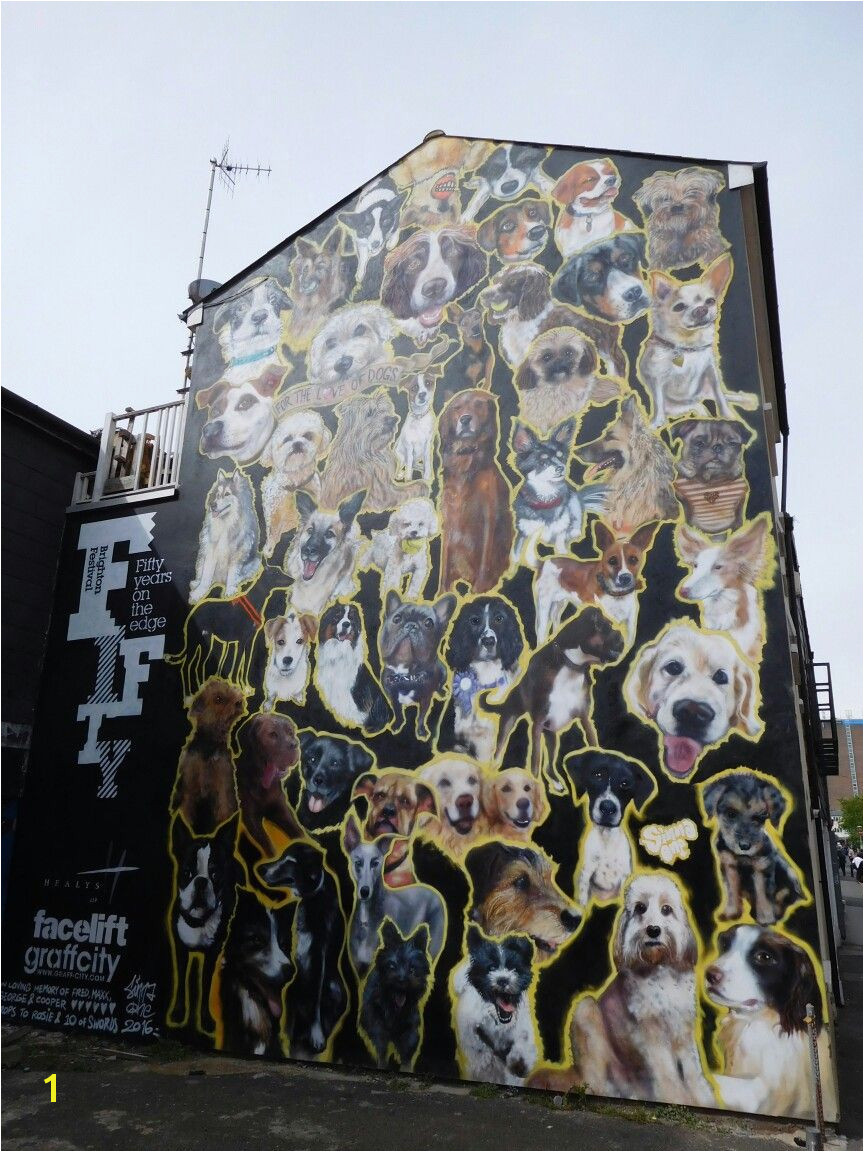 Dog mural for Brighton Festival in Kensington St