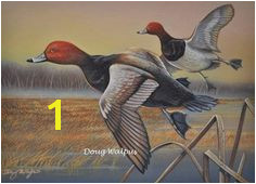 Redhead Ducks Original Painting by Doug Walpus Birds Waterfowl Duck Acrylic Game Bird Hunting Wall Decor Wall Art fice Decor Gifts