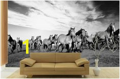 Running Horse Wall Mural Horse Mural Horse Art Running Horses Western Decor