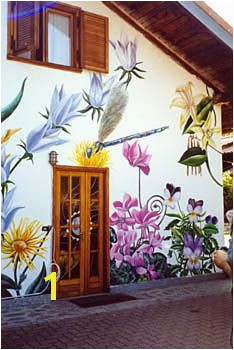 Painted outside wall Outdoor Wall Paint Outdoor Walls Hand Painted Walls Painted Shed