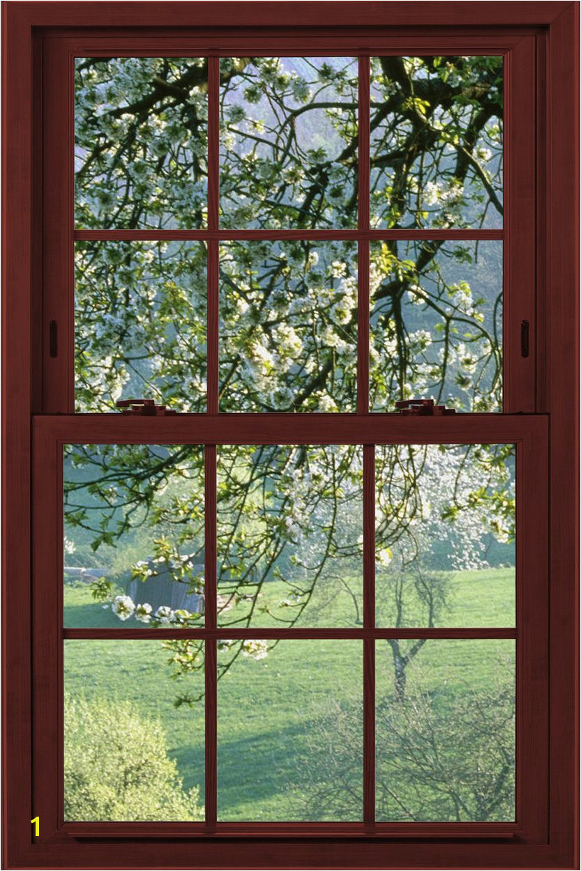 Window Poster Garden Mirrors Faux Window Basement Windows Window View Great