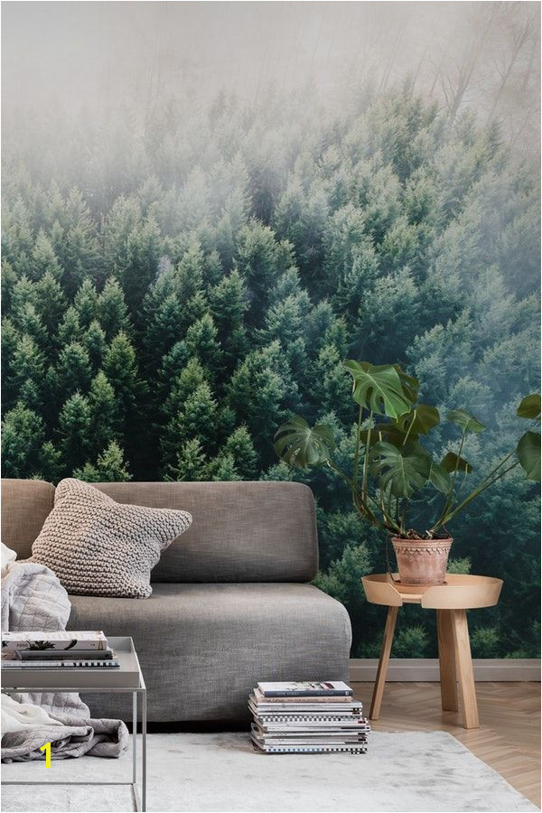 Forests from the Sky II wall mural from happywall fog wallmural mural woods treetops pines wallpapers aerial drone forest foggy wallmurals