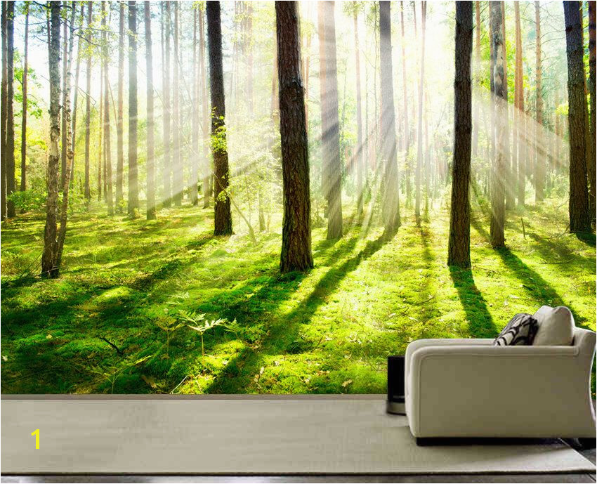 Morning forest Fog wall mural picture wall paper repositionable peel & stick wall