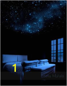 Glow in the Dark Self Adhesive Star Mural Orion Removable Reusable