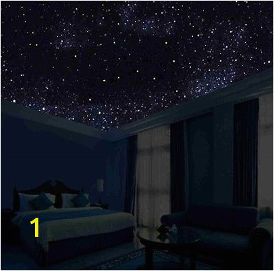 Glow In the Dark Ceiling Murals Glow In the Dark Night Sky Mural Stars Constellations Milky Way 5 Ft