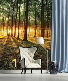 Tree Wallpaper Mural Tree Wall Murals Storage Spaces Interior Decorating Wall Decor