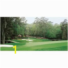 Biggies GM AGA 54 Augusta Golf Murals Hole No 12 Furniture