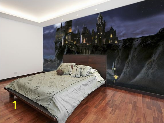 Harry Potter Full Wall Mural First Time to Hogwarts Harry Potter Wall Mural