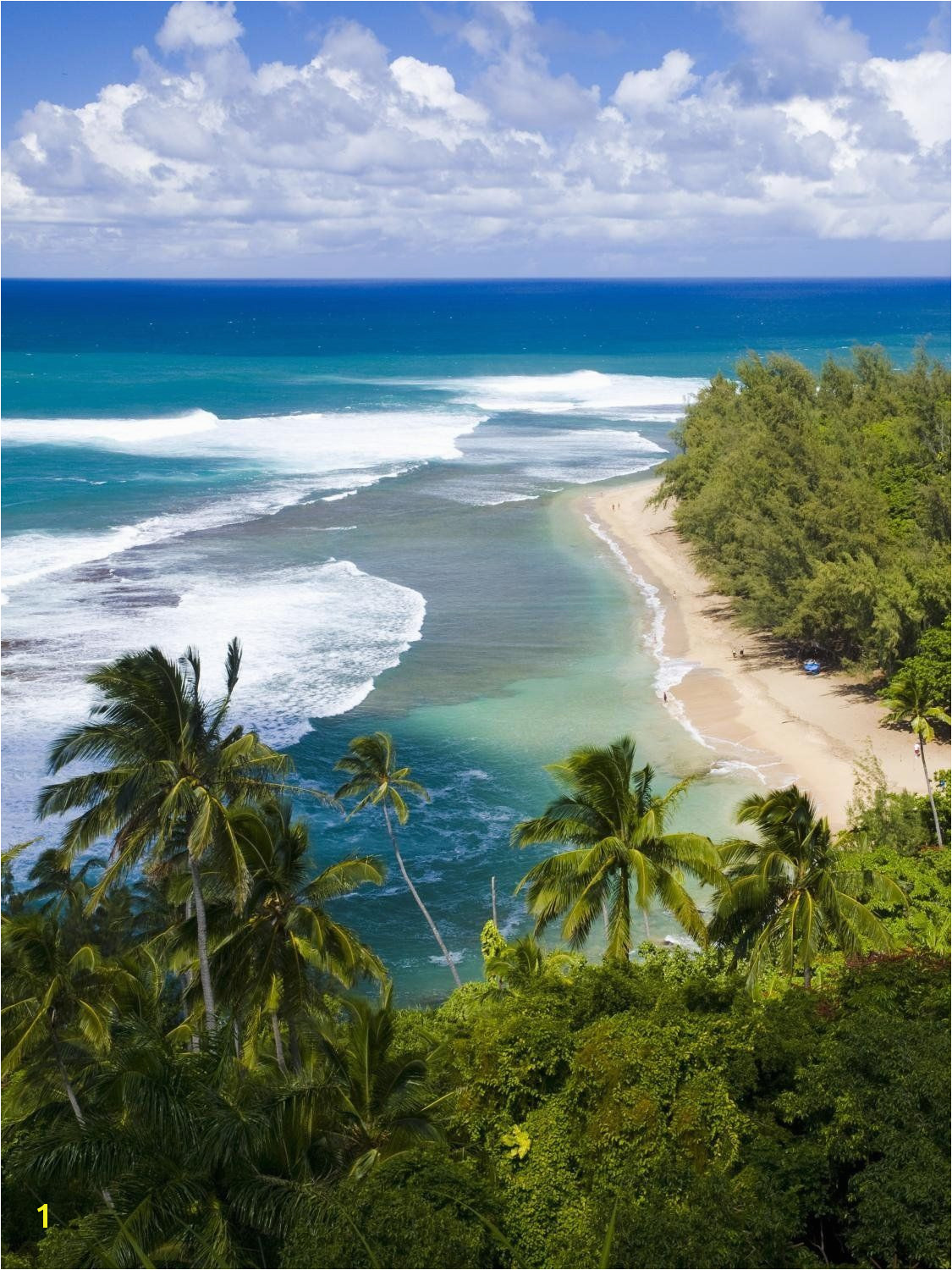 Wallmonkeys Kee Beach from Kalalau Trail Peel and Stick Wall Decals WM 36 in H x 27 in W Startling review available here This is an