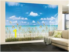 Wall Mural Posters