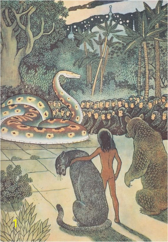 Rudyard Kipling The Jungle Book Mowgli Story Drawings by