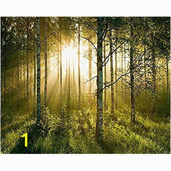 Huge Wall Mural 12 Feet 6 Inch Wide X 9 Feet High Covers an Entire Wall Tropical Beaches Waterfalls Mountains Nature Sunlight Forest Wall Mural