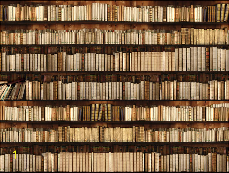 Library Book Wallpaper Mural Bookshelf wall mural 795x600