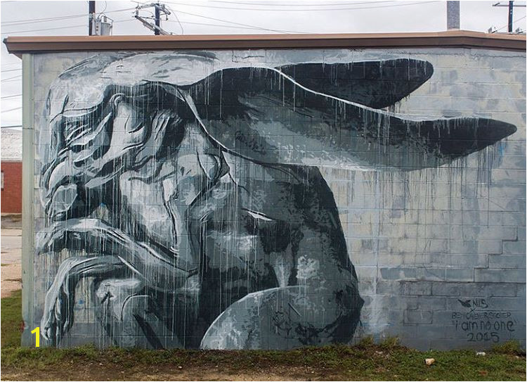 „Collab between nilsrva & bethcavener in San Antonio