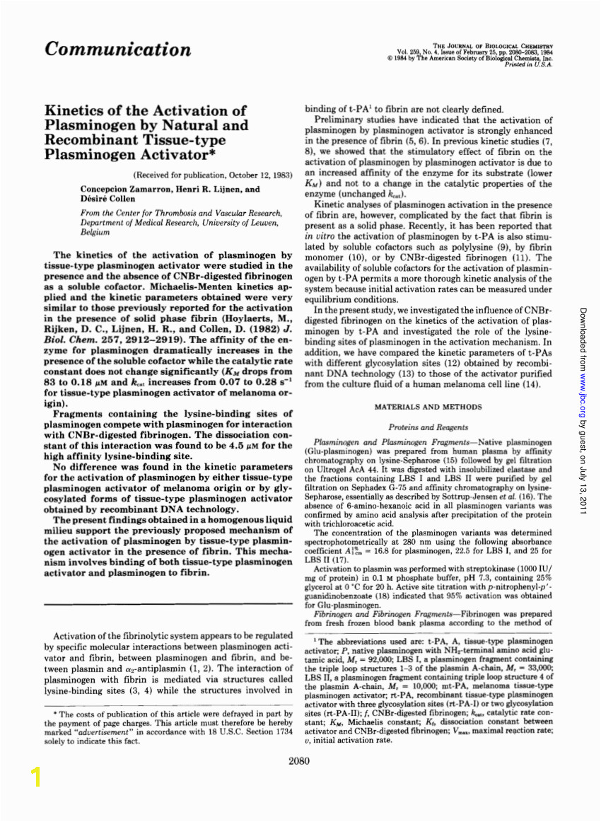 An experimental and theoretical study on the dissolution of mural fibrin clots by tissue type plasminogen activator