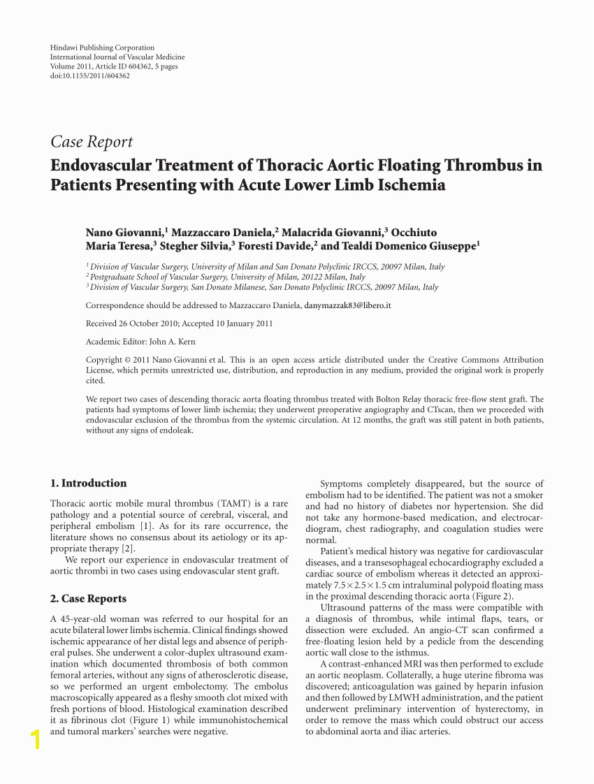 Mural Thrombus Treatment | 0