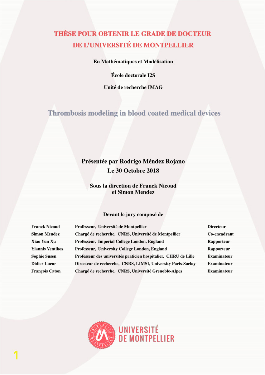 putational Model of Device Induced Thrombosis and Thromboembolism