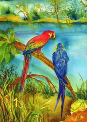 Murals Your Way.com Macaws Mural Joyce Backus Murals Your Way Sick Of Macaws