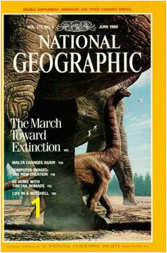 National Geographic June 1989 Dinosaurs Malta Tibetan Nomads Animal Extinction Free U S Shipping SJG