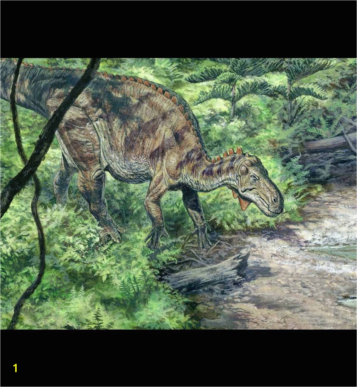 National Geographic Dinosaur Wall Mural National Geographic Dinosaur Coloring Pages Coloring Coloring National Geographic Dinosaur Wall Mural National Geographic Dinosaur Coloring Pages Coloring Coloring
