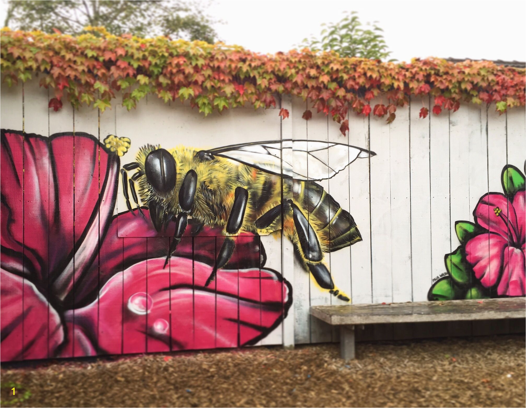 Outdoor Mural Paint I Spent My Sunday Morning Painting A Bee On the Fence Of A Local