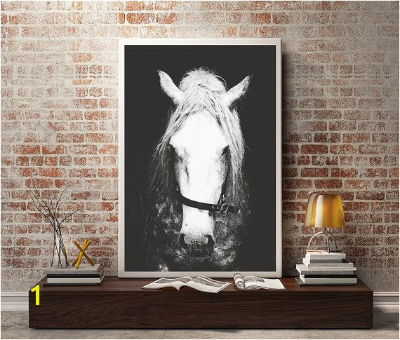 Black & White Horse graphy Horse Wall Decor Horse Wall Art Horse Print Animal graphy