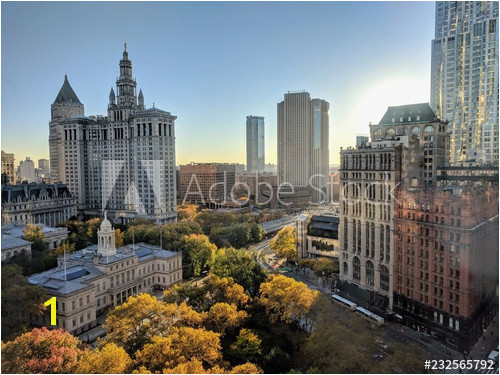 click for Wall Decals price · City Hall Park in the Morning