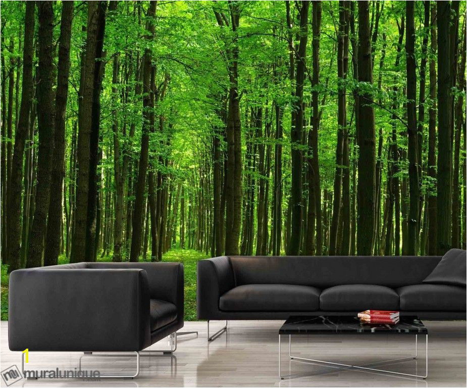 Prepasted Wall Murals Walk In the forest