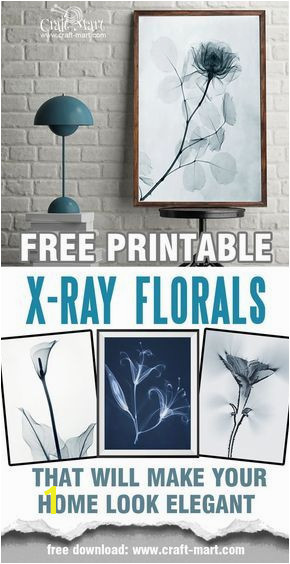 Free printable wall art X ray florals and "Aura" photos These are just perfect for any interior Use them as free farmhouse printables or create a