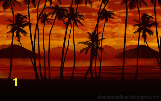 Scarface Palm Tree Wallpaper Scarface mural missions 538x340