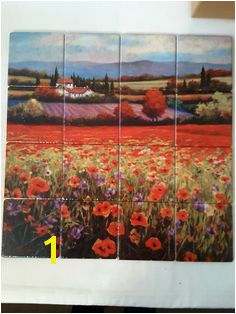 Poppy pastures l tile mural on porcelain tiles at £256